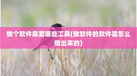 做个软件需要哪些工具(做软件的软件是怎么做出来的)
