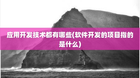 应用开发技术都有哪些(软件开发的项目指的是什么)