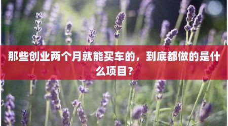 那些创业两个月就能买车的，到底都做的是什么项目？