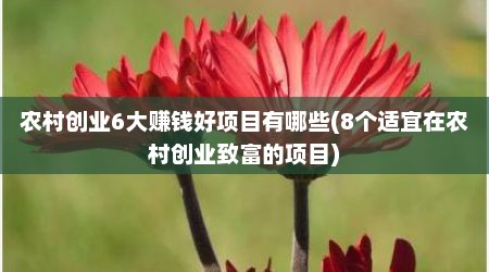 农村创业6大赚钱好项目有哪些(8个适宜在农村创业致富的项目)