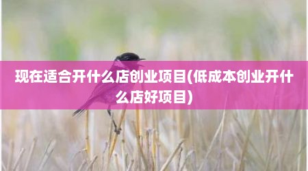 现在适合开什么店创业项目(低成本创业开什么店好项目)