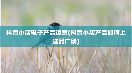 抖音小店电子产品运营(抖音小店产品如何上选品广场)