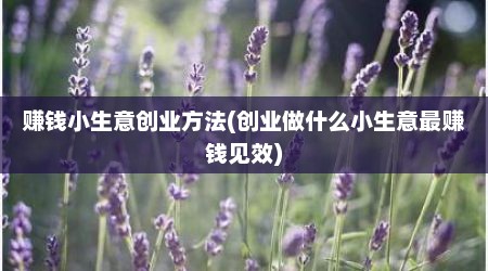 赚钱小生意创业方法(创业做什么小生意最赚钱见效)