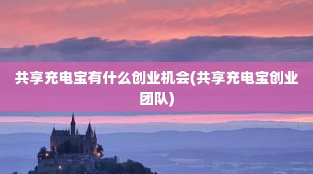 共享充电宝有什么创业机会(共享充电宝创业团队)