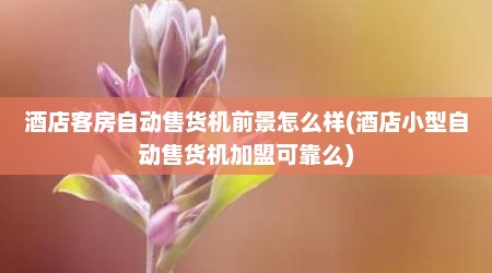 酒店客房自动售货机前景怎么样(酒店小型自动售货机加盟可靠么)