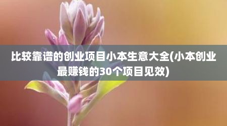 比较靠谱的创业项目小本生意大全(小本创业最赚钱的30个项目见效)