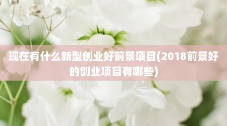 现在有什么新型创业好前景项目(2018前景好的创业项目有哪些)