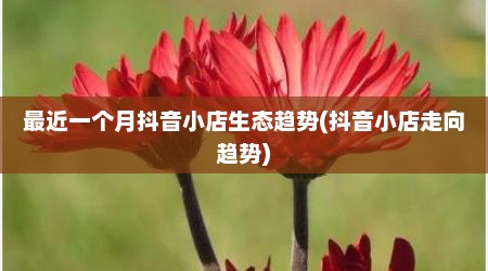 最近一个月抖音小店生态趋势(抖音小店走向趋势)