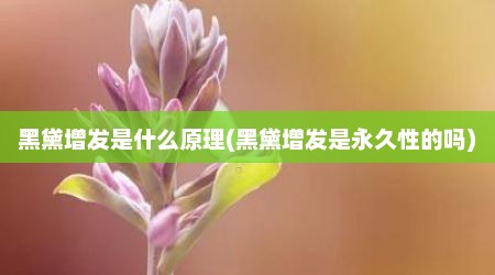黑黛增发是什么原理(黑黛增发是永久性的吗)
