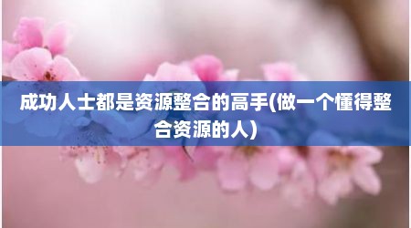 成功人士都是资源整合的高手(做一个懂得整合资源的人)