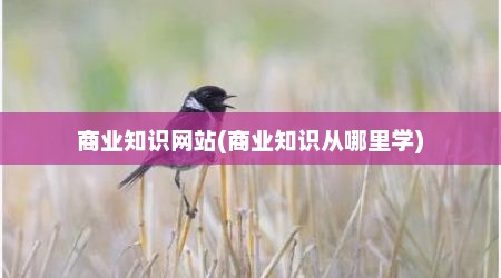 商业知识网站(商业知识从哪里学)