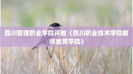 四川管理职业学院评教（四川职业技术学院教师教育学院）