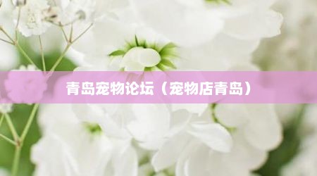 青岛宠物论坛（宠物店青岛）