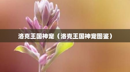 洛克王国神宠（洛克王国神宠图鉴）