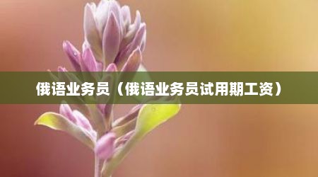 俄语业务员（俄语业务员试用期工资）