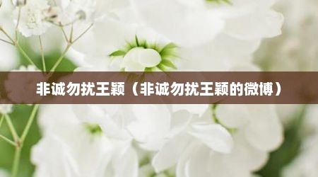 非诚勿扰王颖（非诚勿扰王颖的微博）