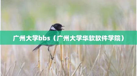 广州大学bbs（广州大学华软软件学院）