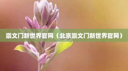 崇文门新世界官网（北京崇文门新世界官网）