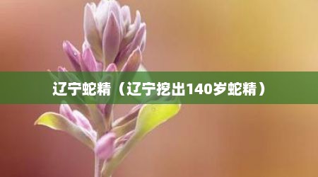 辽宁蛇精（辽宁挖出140岁蛇精）