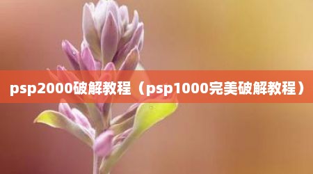 psp2000破解教程（psp1000完美破解教程）