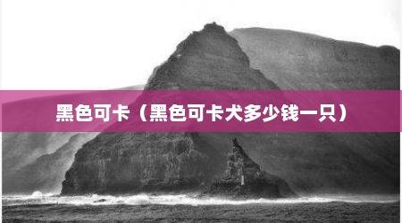 黑色可卡（黑色可卡犬多少钱一只）