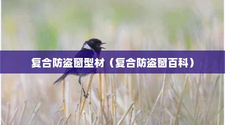 复合防盗窗型材（复合防盗窗百科）