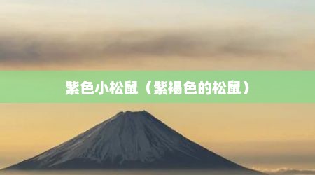 紫色小松鼠（紫褐色的松鼠）