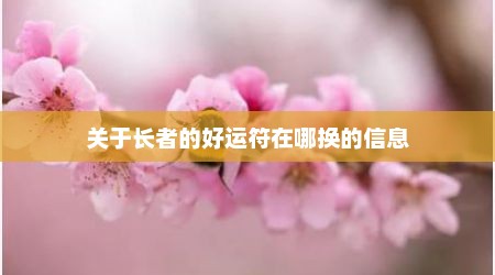 关于长者的好运符在哪换的信息