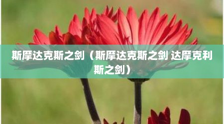 斯摩达克斯之剑（斯摩达克斯之剑 达摩克利斯之剑）