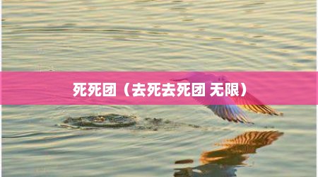 死死团（去死去死团 无限）