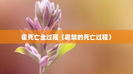 霍死亡全过程（霍禁的死亡过程）