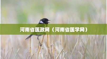 河南省医政网（河南省医学网）