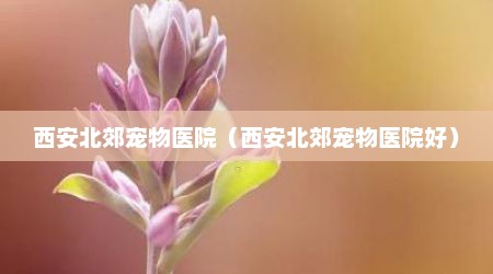 西安北郊宠物医院（西安北郊宠物医院好）