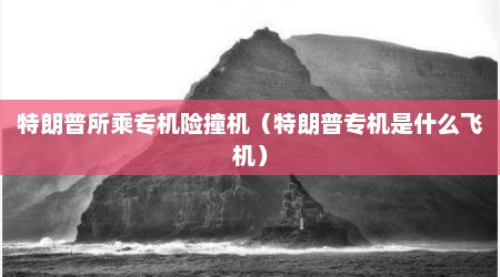 特朗普所乘专机险撞机（特朗普专机是什么飞机）