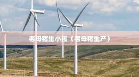 老母猪生小孩（老母猪生产）