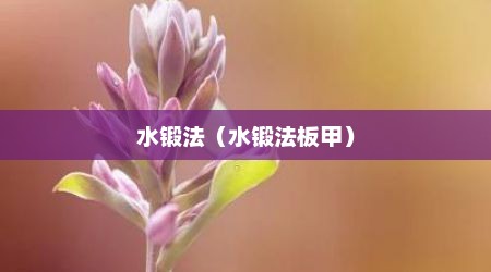 水锻法（水锻法板甲）