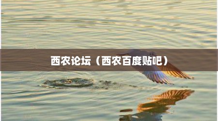西农论坛（西农百度贴吧）
