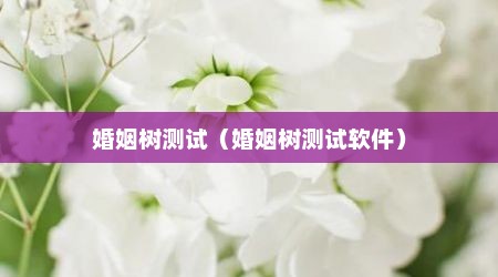 婚姻树测试（婚姻树测试软件）