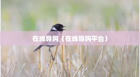 在线导购（在线导购平台）