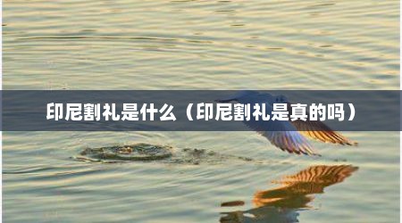 印尼割礼是什么（印尼割礼是真的吗）