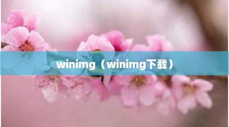 winimg（winimg下载）