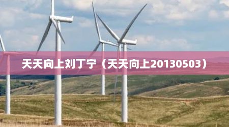 天天向上刘丁宁（天天向上20130503）
