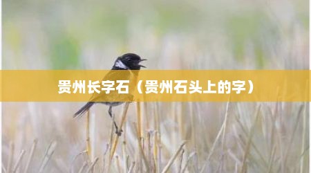 贵州长字石（贵州石头上的字）