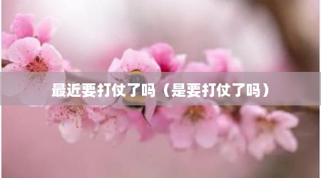 最近要打仗了吗（是要打仗了吗）