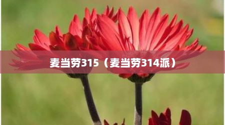 麦当劳315（麦当劳314派）