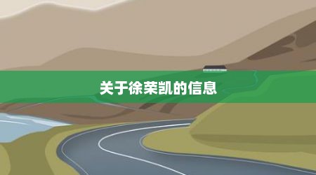 关于徐荣凯的信息