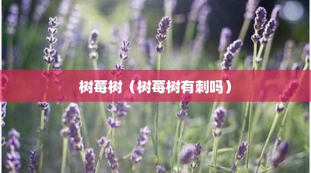 树莓树（树莓树有刺吗）
