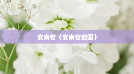 安南省（安南省地图）