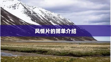 风情片的简单介绍