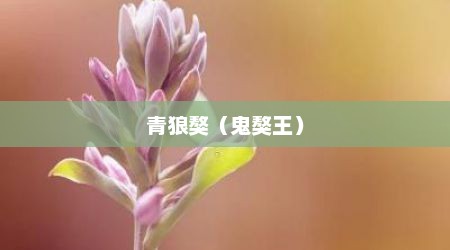 青狼獒（鬼獒王）